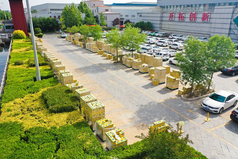 清冷“三夏”｜1929cc人专属福利包来袭！